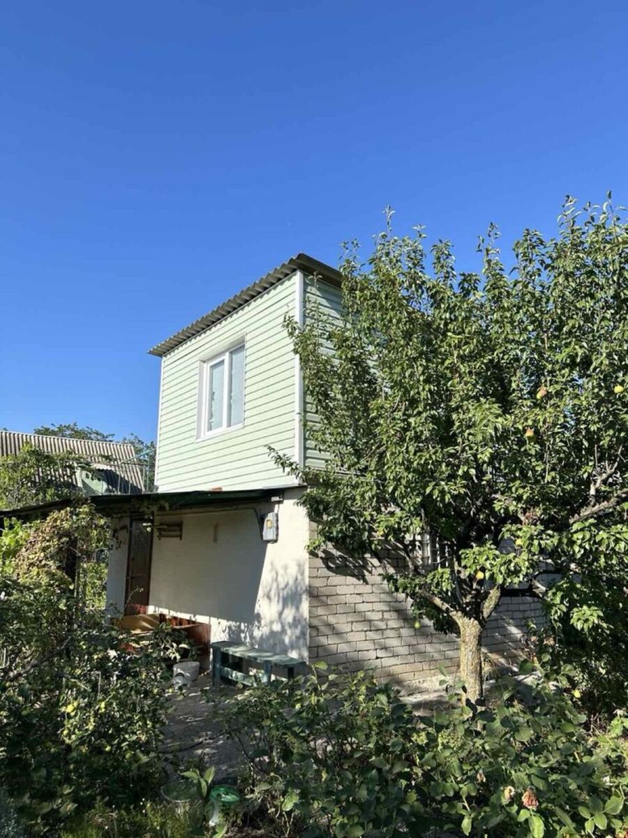 ��������� �������� ���� ������� �����, �������, ����������� ���� 1