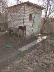 ��������� �������� ���� ���������, �������, ����������� ���� 3