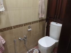 ��������� �������� ������� �������, �������, �����������, ���������� ���� 7