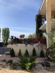 ��������� �������� ������� ����, �������, �����������, ���������� ���� 1