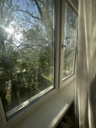 ��������� �������� ��� ����������� �����, �������, �����������, �����������, ������ ���� 17