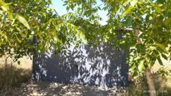 Продається квартира Миколаївська, Миколаїв, Корабельний фото 15 Продається квартира Миколаївська, Миколаїв, Корабельний фото 15