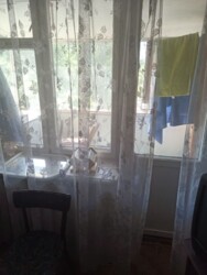 ��������� �������� ������������, �������, �����������, ���������� ���� 2