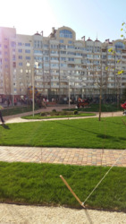 ��������� �������� �� �������, �������, �����������, ����������, ����� ���� 18