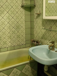 ��������� �������� ����� ������, �������, �����������, ���������� ���� 12