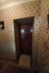 ��������� �������� ��������, �������, �����������, ���������� ���� 16