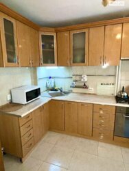 ��������� �������� �����������, �������, �����������, ����������� ���� 17