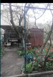 ��������� �������� ���� ���������, �������, ����������� ���� 11