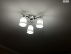 ��������� �������� ����, �������, �����������, ���������� ���� 5