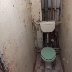 ��������� �������� ��� 19, �������, �����������, �����������, �������� ���� 10