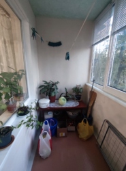 ��������� �������� �������, �����������, ���������� ���� 15