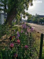 ��������� �������� 6 ����������, 22, �������, �����������, ���������� ���� 11