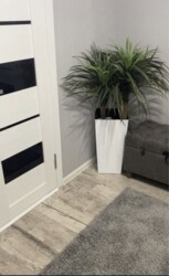 Продажа квартиры в Лесках фото 2 Продажа квартиры в Лесках фото 2