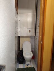 3� ������� �������� ���� 6