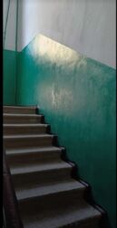 ��������� �������� ����������� �����������������, �������, �����������, ����������, ��� ���� 9