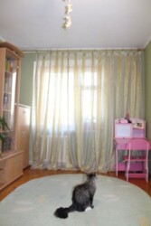 ��������� �������� ���� �����������, �������, �����������, ����������� ���� 4