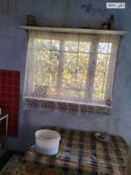 ��������� �������� ���� ��������� �������, �������, ����������� ���� 11