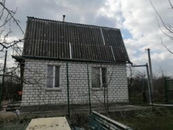 ��������� �������� ���� �������, �������, ����������� ���� 11