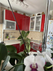 Продається квартира Миколаївська, Миколаїв, Ленінський, Площадь Победы (Таврия) фото 1 Продається квартира Миколаївська, Миколаїв, Ленінський, Площадь Победы (Таврия) фото 1