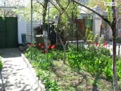 ��������� �������� 10 ����������, 47, �������, �����������, ����������, ���� ���� 2