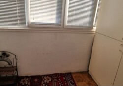 ��������� �������� �������, �����������, ����������� ���� 11