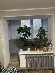 ��������� �������� �������, �����������, ����������� ���� 3