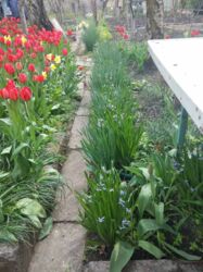 ��������� �������� ���� ���������, �������, ����������� ���� 6