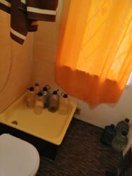 ��������� �������� ���� �������, �������, ����������� ���� 8