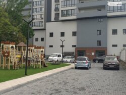 ��������� �������� �����������, �������, �����������, ����������� ���� 17