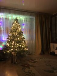 ������ �������� 3-� ��������� �������� � �������� ������ ���� 6