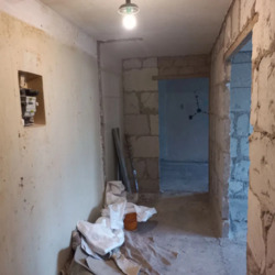 ��������� �������� ��� 19, �������, �����������, �����������, �������� ���� 8