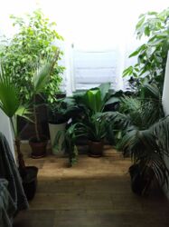 ��������� �������� 12 ����������, �������, �����������, ���������� ���� 10