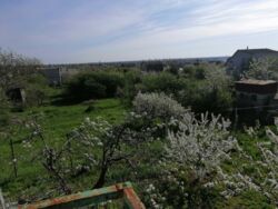 ��������� �������� ���� �������, �������, ����������� ���� 5