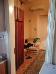 ��������� �������� �������, �����������, ����������� ���� 7