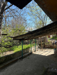 ��������� �������� ���������������, �������, �����������, ���������� ���� 17