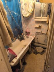 ��������� �������� ������������ (������� ��������), �������, �����������, ���������� ���� 5