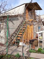 ��������� �������� ���� ���������, �������, ����������� ���� 4