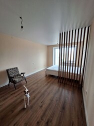 ��������� �������� ����, �������, �����������, ���������� ���� 1