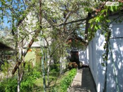 ��������� �������� 10 ����������, 47, �������, �����������, ����������, ���� ���� 4