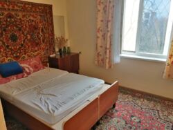 ��������� �������� ���� �������, �������, ����������� ���� 7