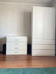 ��������� �������� �����������, �������, �����������, ���������� ���� 19