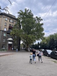 ��������� �������� ������/�����������, �������, �����������, ����������� ���� 5