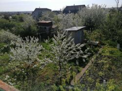 ��������� �������� ���� �������, �������, ����������� ���� 4