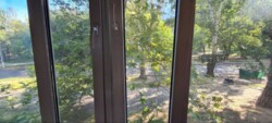 ��������� �������� ��������, 11, �������, �����������, ����������, �-����� ���� 8