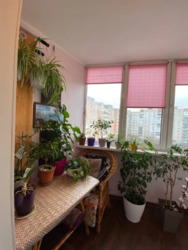 ��������� �������� �������, �����������, ���������� ���� 20