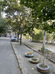 ��������� �������� �����������/ �� �� ������, �������, �����������, ���������� ���� 12