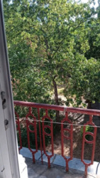 ��������� �������� �����������, �������, �����������, ���������� ���� 7