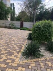 ��������� �������� ��������, �������, �����������, ���������� ���� 6