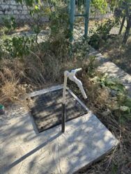 ��������� �������� ���� ������� �����, �������, ����������� ���� 5