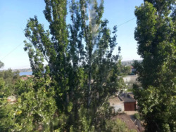 Продається квартира Миколаївська, Миколаїв, Ленінський фото 2 Продається квартира Миколаївська, Миколаїв, Ленінський фото 2